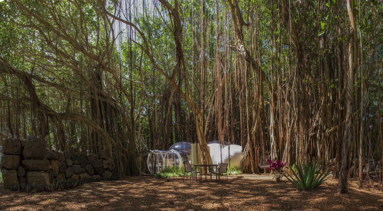 Bubble Lodge Ile Aux Cerfs Island Kültér fotó